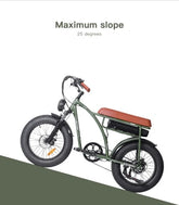 Electric bicycle Bezior XF001 frame 20” green